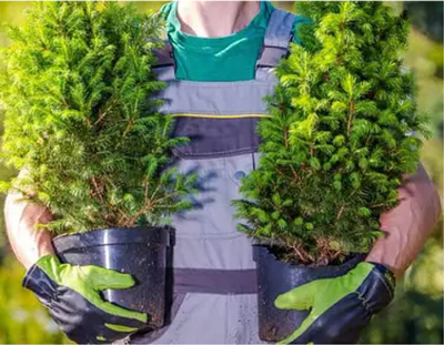 Fadil-Gören-GaLaBau-24568-Kaltenkirchen-Bild