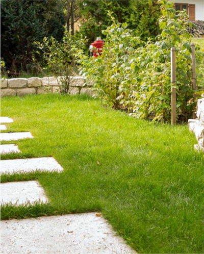 Garten--und-Landschaftsbau-Benedikt-Riecke-83703-Gmund-am-Tegernsee-Bild