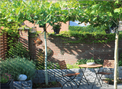 Karl-Beemelmans-Garten--und-Landschaftsbau-47574-Goch-Bild