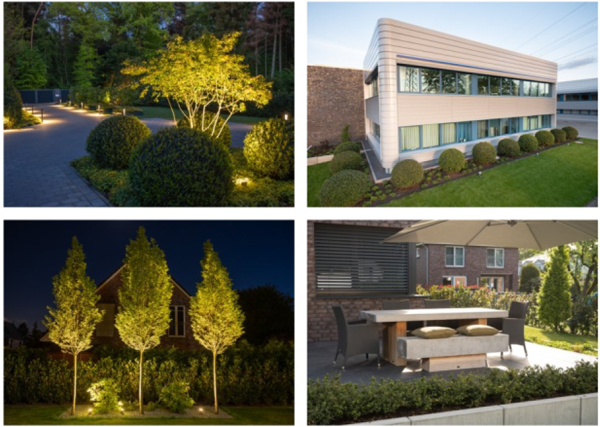 TC-Gartendesign-25524-Itzehoe-Beispiel