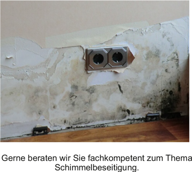 Deimel-&-Bendisch-Schimmelbeseitigung-53757-Sankt-Augustin-Bild
