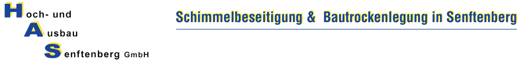 Hoch--und-Ausbau-Senftenberg-GmbH-01968-Senftenberg