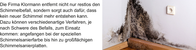 Klormann-Malerbetrieb-Schimmelbeseitigung-69123-Heidelberg-Bild