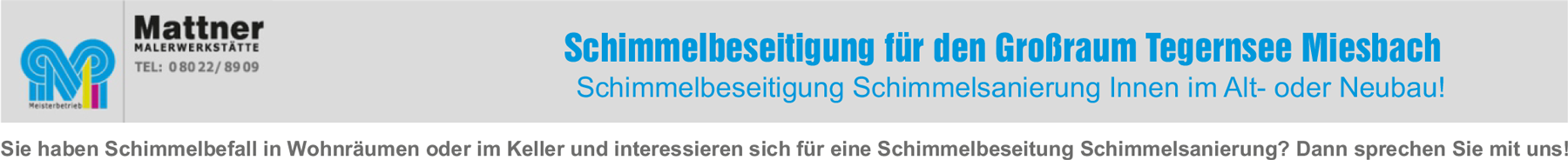 Mattner-Malerwerkstätte-Schimmelbeseitigung-83703-Gmund